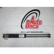 Амортизатор капота для NISSAN TEANA J31 VQ23DE