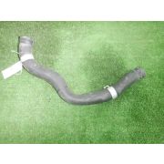 Патрубок радиатора 19501REAZ00 для HONDA FIT ARIA GD8 L15A U