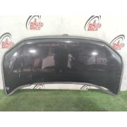 Капот 60100SZW000ZZ для HONDA STEPWGN RK1 R20A