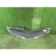 Решетка радиатора для HONDA ELYSION RR1 K24A