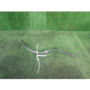 Шланг тормозной MR955295 для MITSUBISHI COLT Z26A 4G19 F