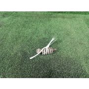 Болт для TOYOTA