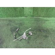 Датчик abs 34526784901 для BMW 5 SERIES F10 N20B20B R