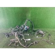 Коса двс для TOYOTA PROBOX NCP165V 1NZ-FE