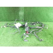 Коса двс для TOYOTA PROBOX NCP55V 1NZ-FE