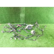 Коса двс для TOYOTA IST NCP65 1NZ-FE