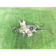 Вакуумный клапан SH0218741 для MAZDA ATENZA GJ2FW SH-VPTR