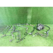 Коса двс для HONDA STEPWGN RF4 K20A