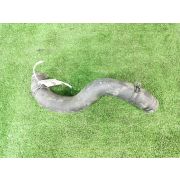 Патрубок радиатора 21503CY000 для NISSAN SERENA C25 MR20DE D