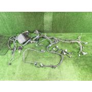 Коса двс для TOYOTA RACTIS NCP105 1NZ-FE