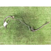 Шланг тормозной 4650B627/MN193080 для MITSUBISHI LANCER CY3A 4B10 R R