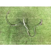 Датчик abs 479101HA0A для NISSAN MARCH K13 HR12DE F