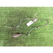 Датчик abs 57450S47J50 для HONDA STEPWGN RF1 B20B F R