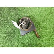 Подушка двигателя 1237121040/41 для TOYOTA FUNCARGO NCP25 1NZ-FE R