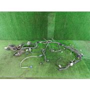 Коса двс для NISSAN PRESAGE TU31 QR25DE